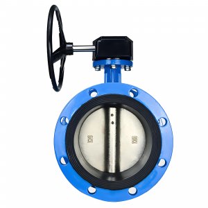 法蘭式蝸輪蝸桿蝶閥DN40，1.6Mpa（橡膠密封