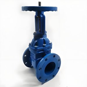 手動(dòng)閘閥Z41T-16 DN50/DN65廠家直銷，上海發(fā)