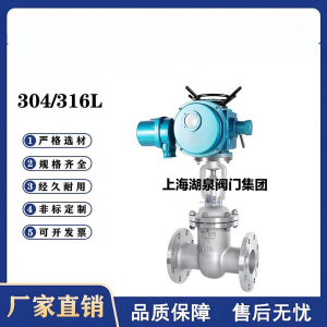 Z941W-16P，DN250，CF8/F304不銹鋼電動閘閥