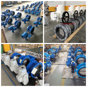 DN80法蘭連接方式220V|D941X-16電動(dòng)蝶閥